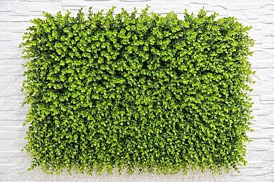 《地球防卫军4.1》移植到Switch 2022年发售